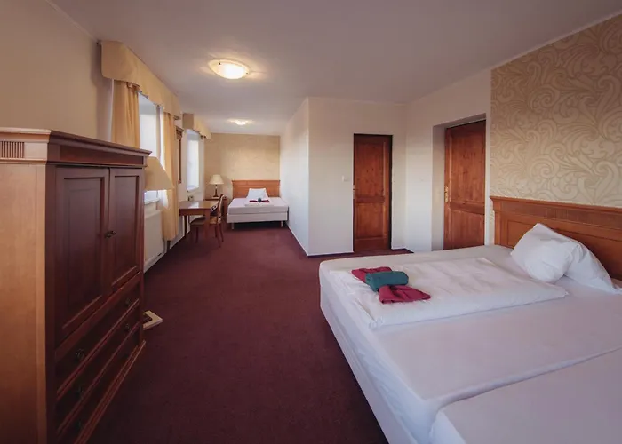 Pomezi Hotell Cínovec