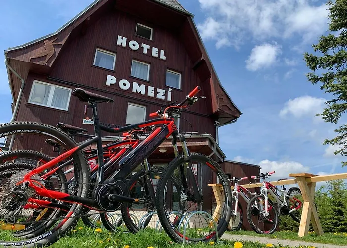 Hotell Pomezi 3*